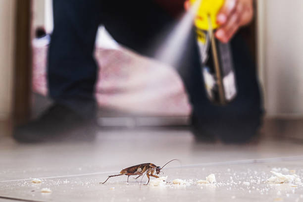 Pest Control for Restaurants in Wesley Chapel, NC